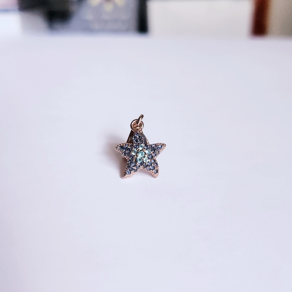 STARFISH CHARM - Picture 4 of 6